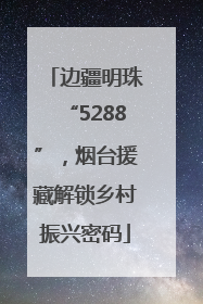 边疆明珠“5288”，烟台援藏解锁乡村振兴密码
