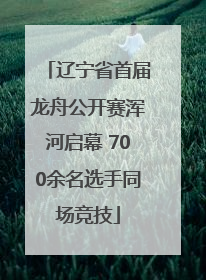 辽宁省首届龙舟公开赛浑河启幕 700余名选手同场竞技