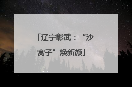 辽宁彰武：“沙窝子”焕新颜