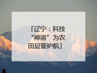 辽宁：科技“神器”为农田夏管护航