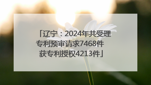 辽宁：2024年共受理专利预审请求7468件 获专利授权4213件