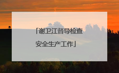 谢卫江督导检查安全生产工作