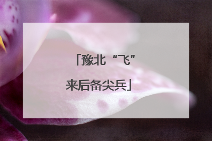 豫北“飞”来后备尖兵