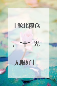 豫北粮仓，“丰”光无限好