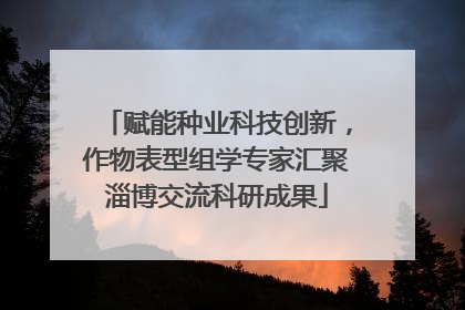 赋能种业科技创新，作物表型组学专家汇聚淄博交流科研成果