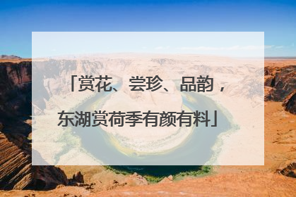 赏花、尝珍、品韵，东湖赏荷季有颜有料