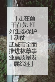 走在前 干在先 打好生态保护主动仗——武威市全面推进林草事业高质量发展综述