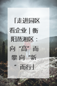 走进园区看企业｜衡阳蒸湘区：向“高”而攀 向“新”而行