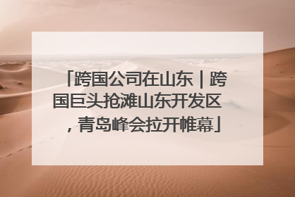 跨国公司在山东｜跨国巨头抢滩山东开发区，青岛峰会拉开帷幕