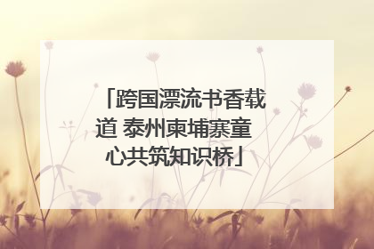 跨国漂流书香载道 泰州柬埔寨童心共筑知识桥