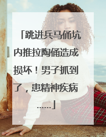 跳进兵马俑坑内推拉陶俑造成损坏！男子抓到了，患精神疾病……