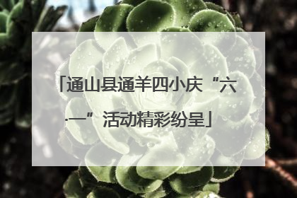 通山县通羊四小庆“六·一”活动精彩纷呈