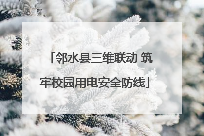 邻水县三维联动 筑牢校园用电安全防线