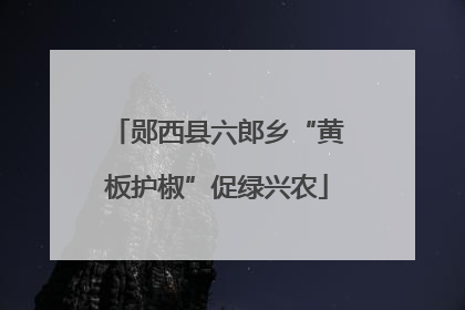 郧西县六郎乡“黄板护椒”促绿兴农