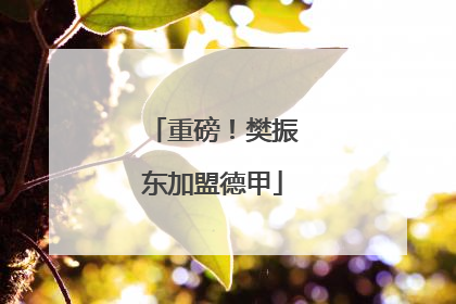 重磅！樊振东加盟德甲