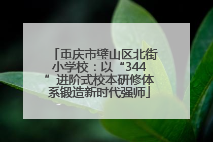 重庆市璧山区北街小学校：以“344”进阶式校本研修体系锻造新时代强师