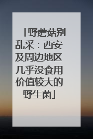 野蘑菇别乱采：西安及周边地区几乎没食用价值较大的野生菌