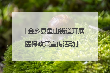 金乡县鱼山街道开展医保政策宣传活动