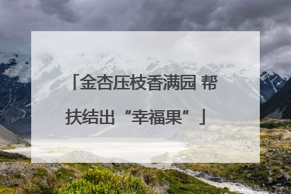 金杏压枝香满园 帮扶结出“幸福果”