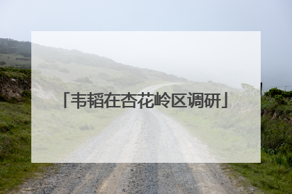 韦韬在杏花岭区调研