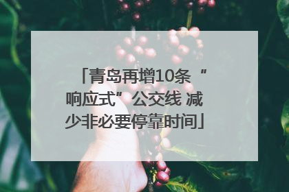 青岛再增10条“响应式”公交线 减少非必要停靠时间