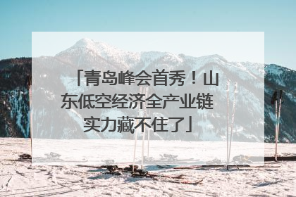 青岛峰会首秀！山东低空经济全产业链实力藏不住了