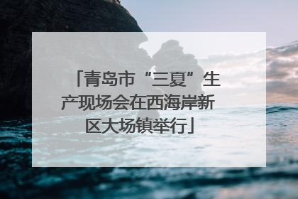 青岛市“三夏”生产现场会在西海岸新区大场镇举行