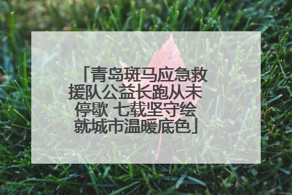 青岛斑马应急救援队公益长跑从未停歇 七载坚守绘就城市温暖底色