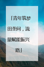 青年筑梦田垄间，流量赋能振兴路