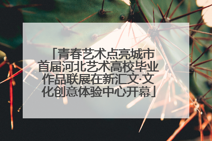 青春艺术点亮城市 首届河北艺术高校毕业作品联展在新汇文·文化创意体验中心开幕