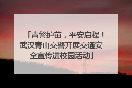 青警护苗，平安启程！武汉青山交警开展交通安全宣传进校园活动