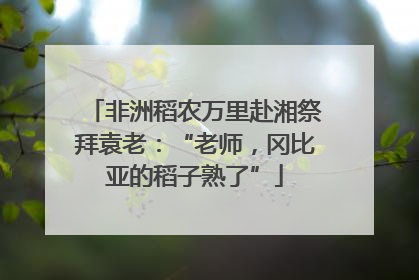 非洲稻农万里赴湘祭拜袁老：“老师，冈比亚的稻子熟了”