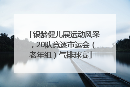 银龄健儿展运动风采，20队竞逐市运会（老年组）气排球赛