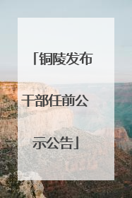 铜陵发布干部任前公示公告