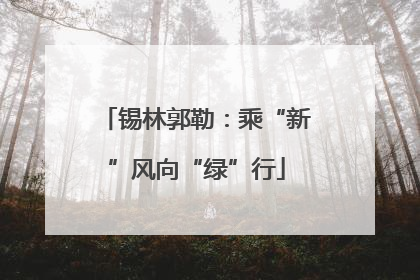 锡林郭勒：乘“新”风向“绿”行