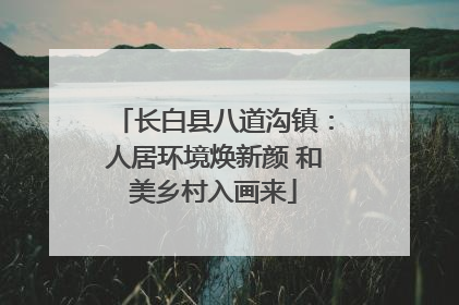 长白县八道沟镇：人居环境焕新颜 和美乡村入画来