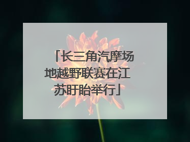 长三角汽摩场地越野联赛在江苏盱眙举行