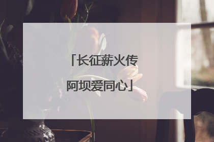 长征薪火传 阿坝爱同心