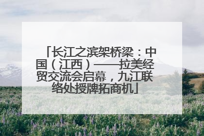 长江之滨架桥梁：中国（江西）——拉美经贸交流会启幕，九江联络处授牌拓商机