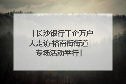 长沙银行千企万户大走访·裕南街街道专场活动举行