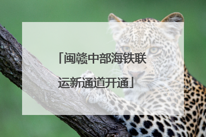 闽赣中部海铁联运新通道开通