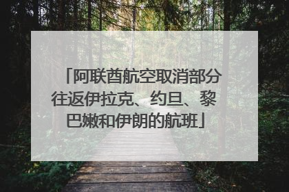 阿联酋航空取消部分往返伊拉克、约旦、黎巴嫩和伊朗的航班