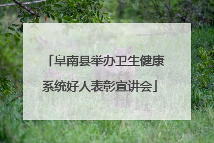 阜南县举办卫生健康系统好人表彰宣讲会