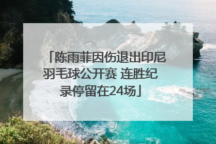陈雨菲因伤退出印尼羽毛球公开赛 连胜纪录停留在24场