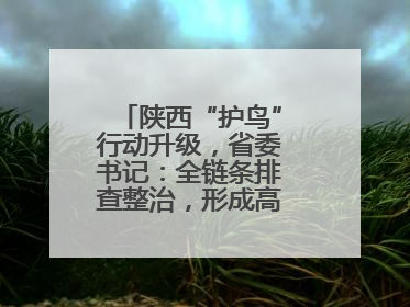陕西“护鸟”行动升级，省委书记：全链条排查整治，形成高压震慑态势