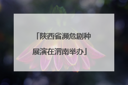陕西省濒危剧种展演在渭南举办