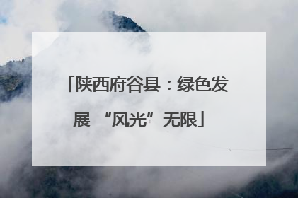 陕西府谷县：绿色发展 “风光”无限