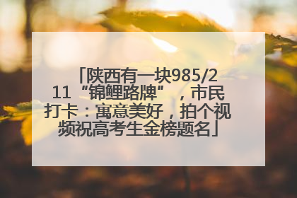 陕西有一块985/211“锦鲤路牌”，市民打卡：寓意美好，拍个视频祝高考生金榜题名