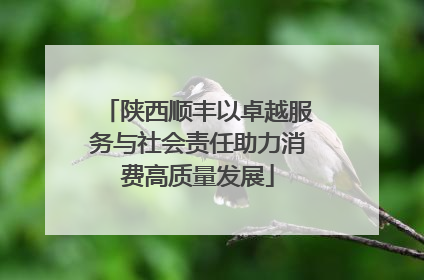 陕西顺丰以卓越服务与社会责任助力消费高质量发展
