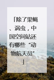 除了果蝇、涡虫，中国空间站还有哪些“动物航天员”